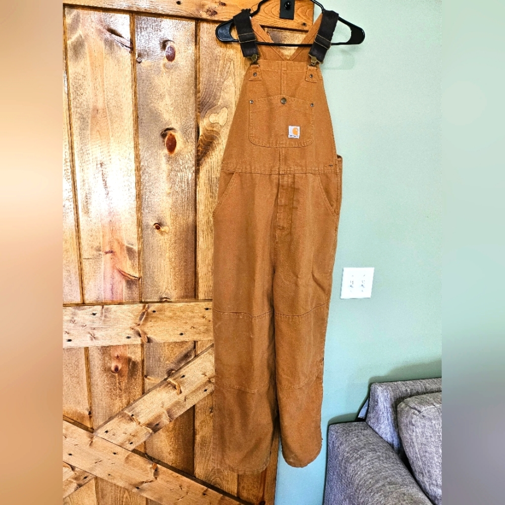 Carhartt bibs
